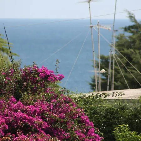 Salento Villa Leporano